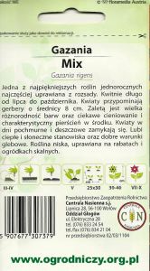 gazania mix 2